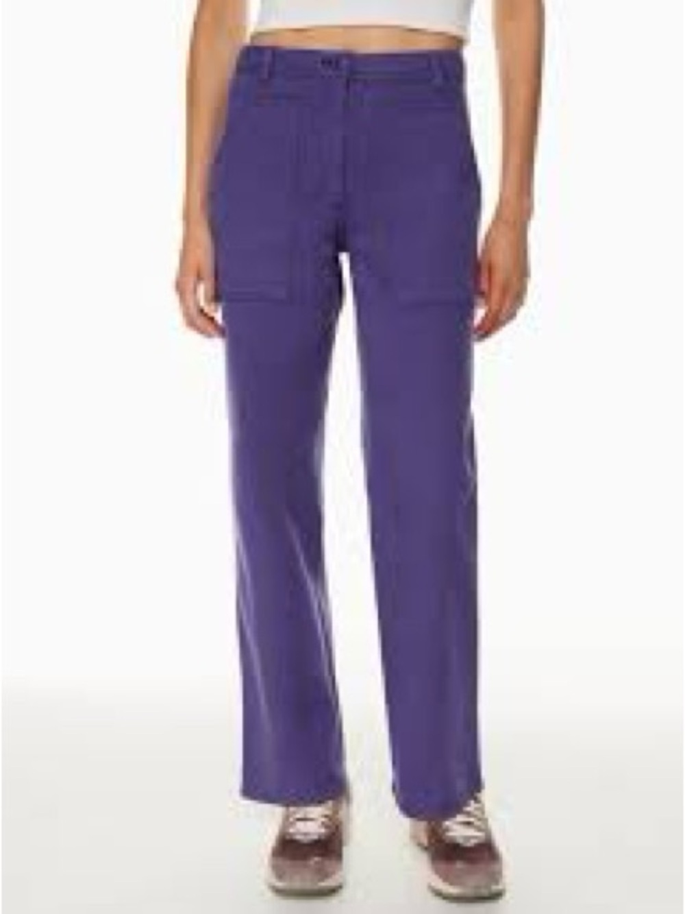 Aritzia Wilfred Free Modern Utility Pant Straight Leg 6